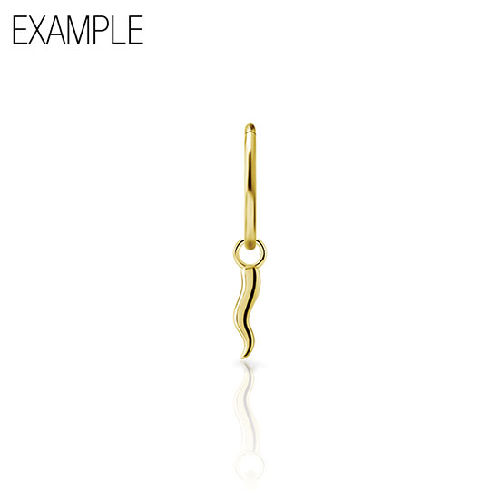 BG-NFHSR-CHARM-05-O-RING