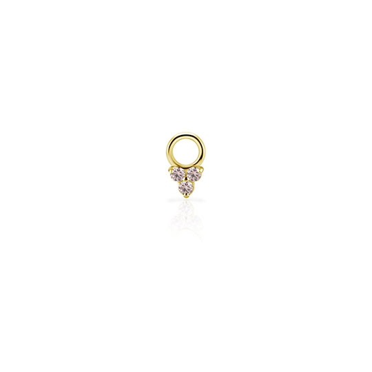 BG-NFHSR-CHARM-74M-O-RING-CHA