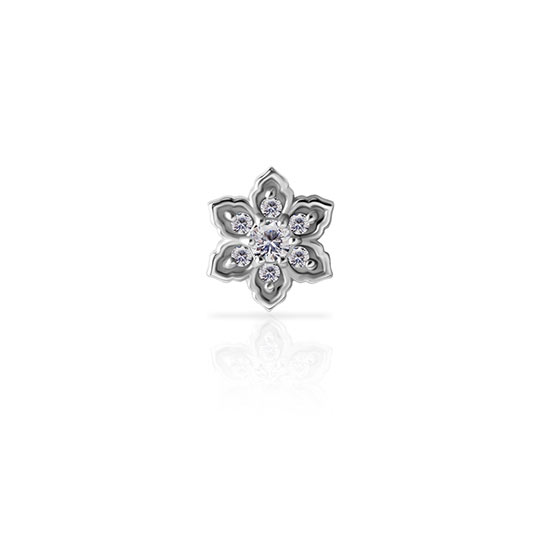 NF-IANSG-77-0.8x6-WH