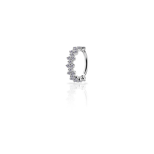 WG18K-HSRSG25-1610-1.2x10-WH