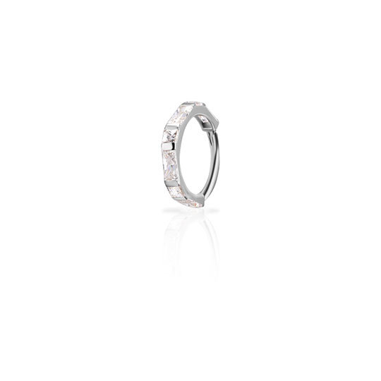 WG18K-HSRSG44-1610-1.2x10-WH